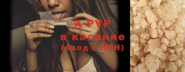 стаф Володарск