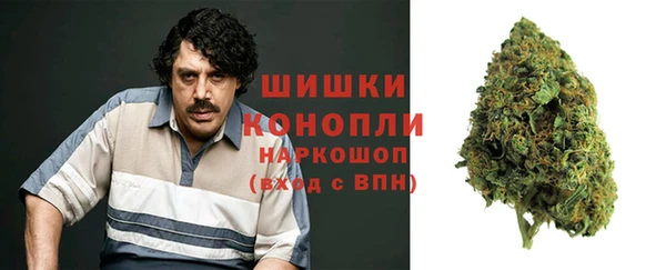 спиды Вяземский