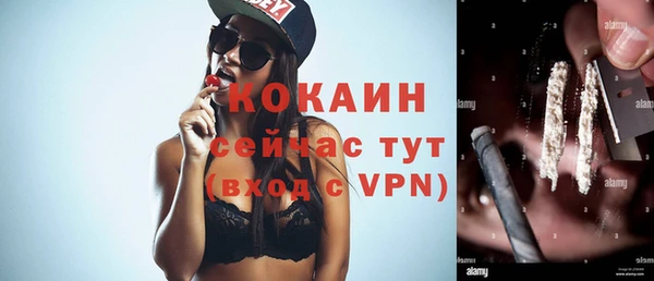 гашик Вязники