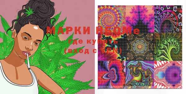 спиды Вяземский