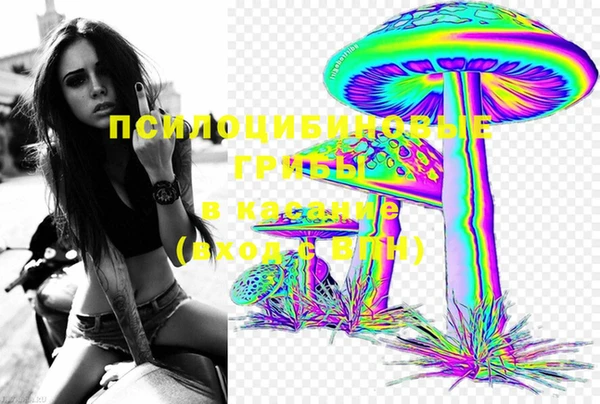 спиды Вяземский