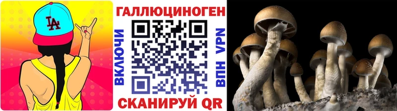 Псилоцибиновые грибы мухоморы Каменск-Шахтинский